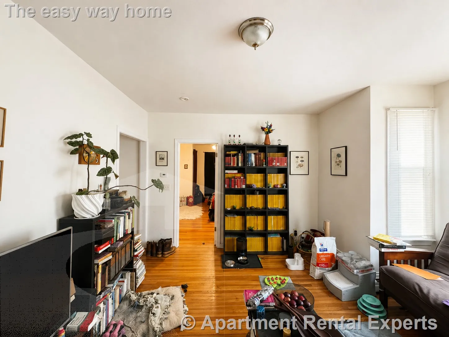 2 bed, 1 bath apartment for rent at 102 Highland Ave Unit 1, Spring Hill — photo 1 of 11