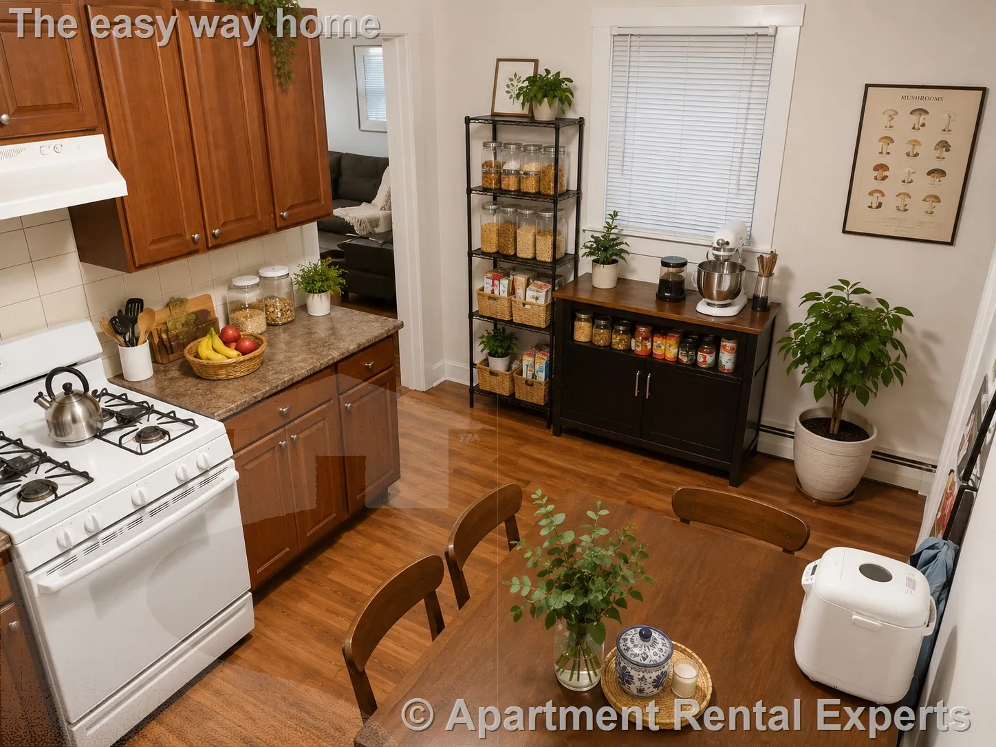 2 bed, 1 bath apartment for rent at 102 Highland Ave Unit 1, Spring Hill — photo 3 of 11