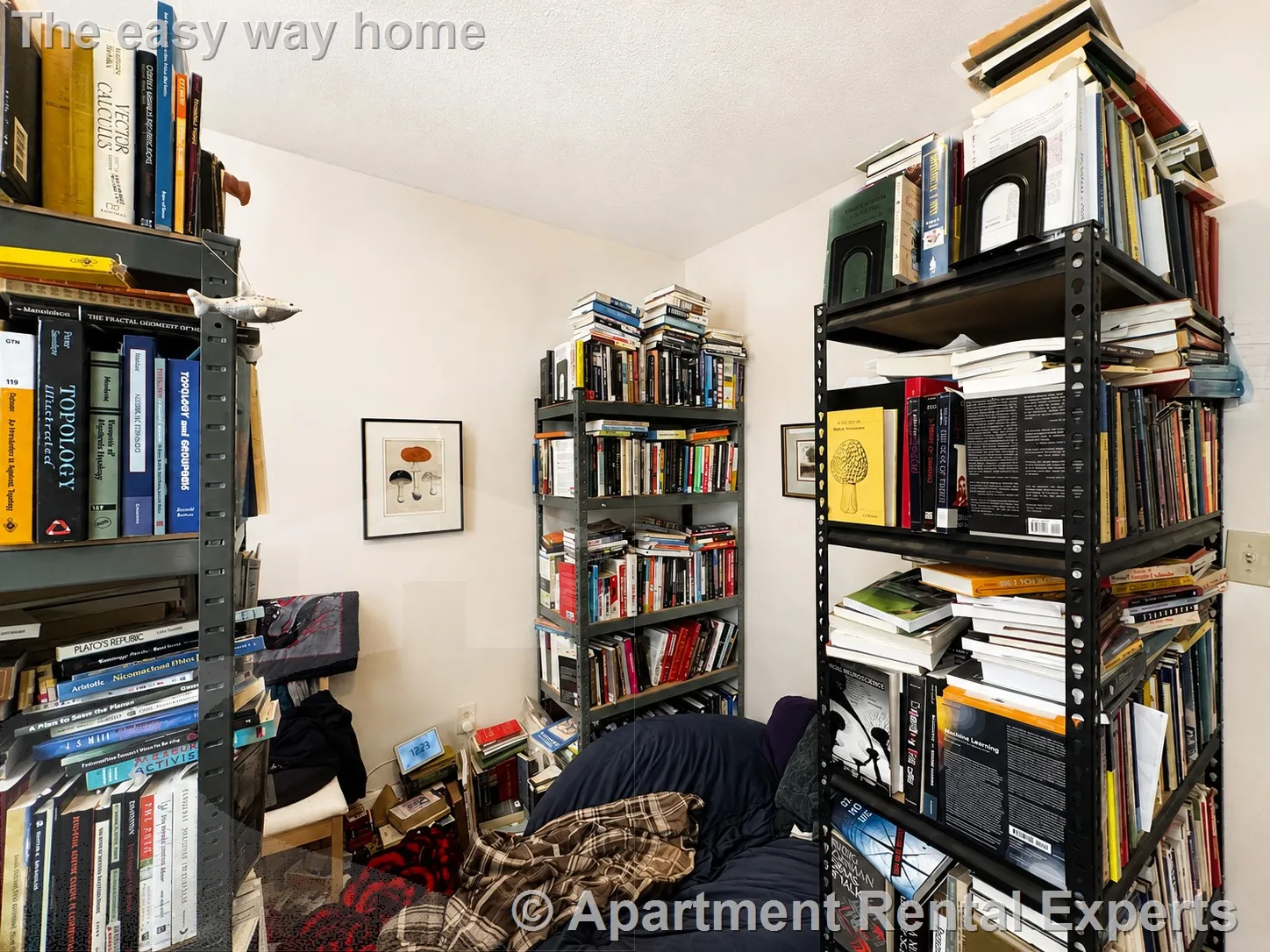 2 bed, 1 bath apartment for rent at 102 Highland Ave Unit 1, Spring Hill — photo 10 of 11