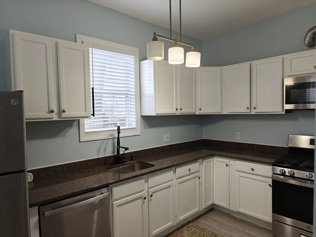 2 bed, 2 bath apartment for rent at 102 Mount Pleasant Ave Unit 1, Roxbury — photo 7 of 25