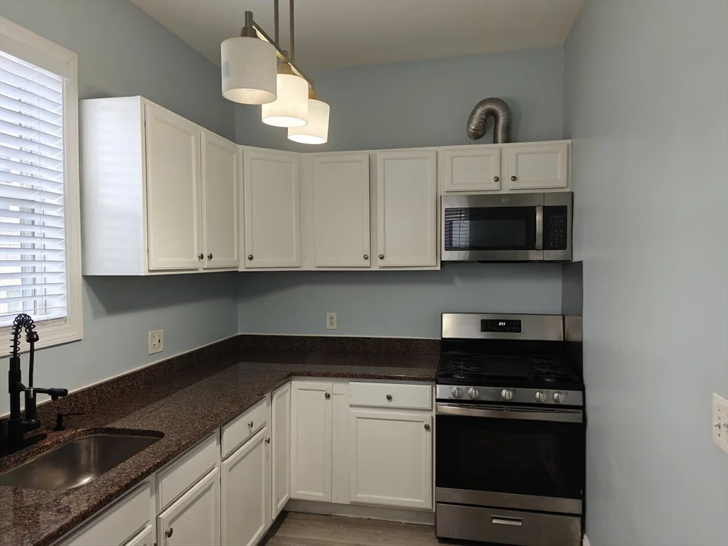 2 bed, 2 bath apartment for rent at 102 Mount Pleasant Ave Unit 1, Roxbury — photo 8 of 25