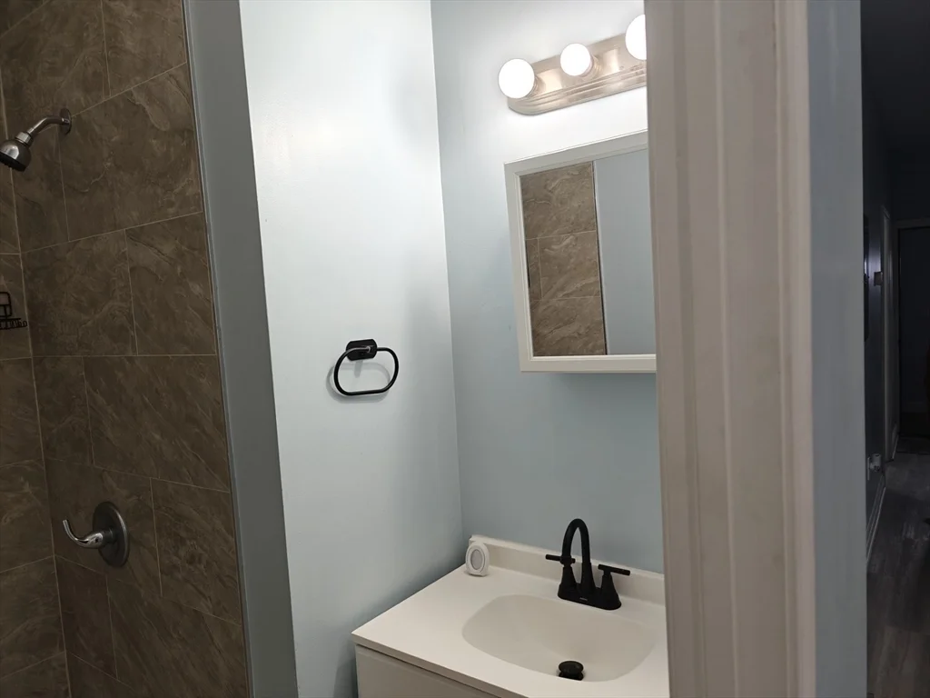 2 bed, 2 bath apartment for rent at 102 Mount Pleasant Ave Unit 1, Roxbury — photo 22 of 25