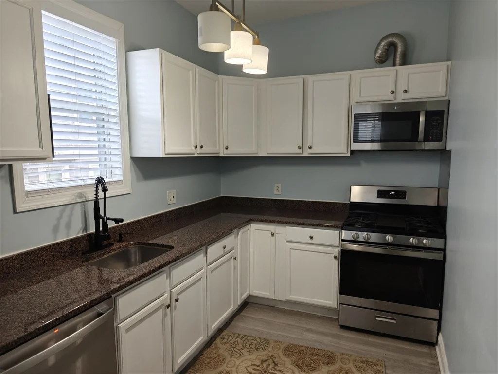 2 bed, 2 bath apartment for rent at 102 Mount Pleasant Ave Unit 1, Roxbury — photo 6 of 25
