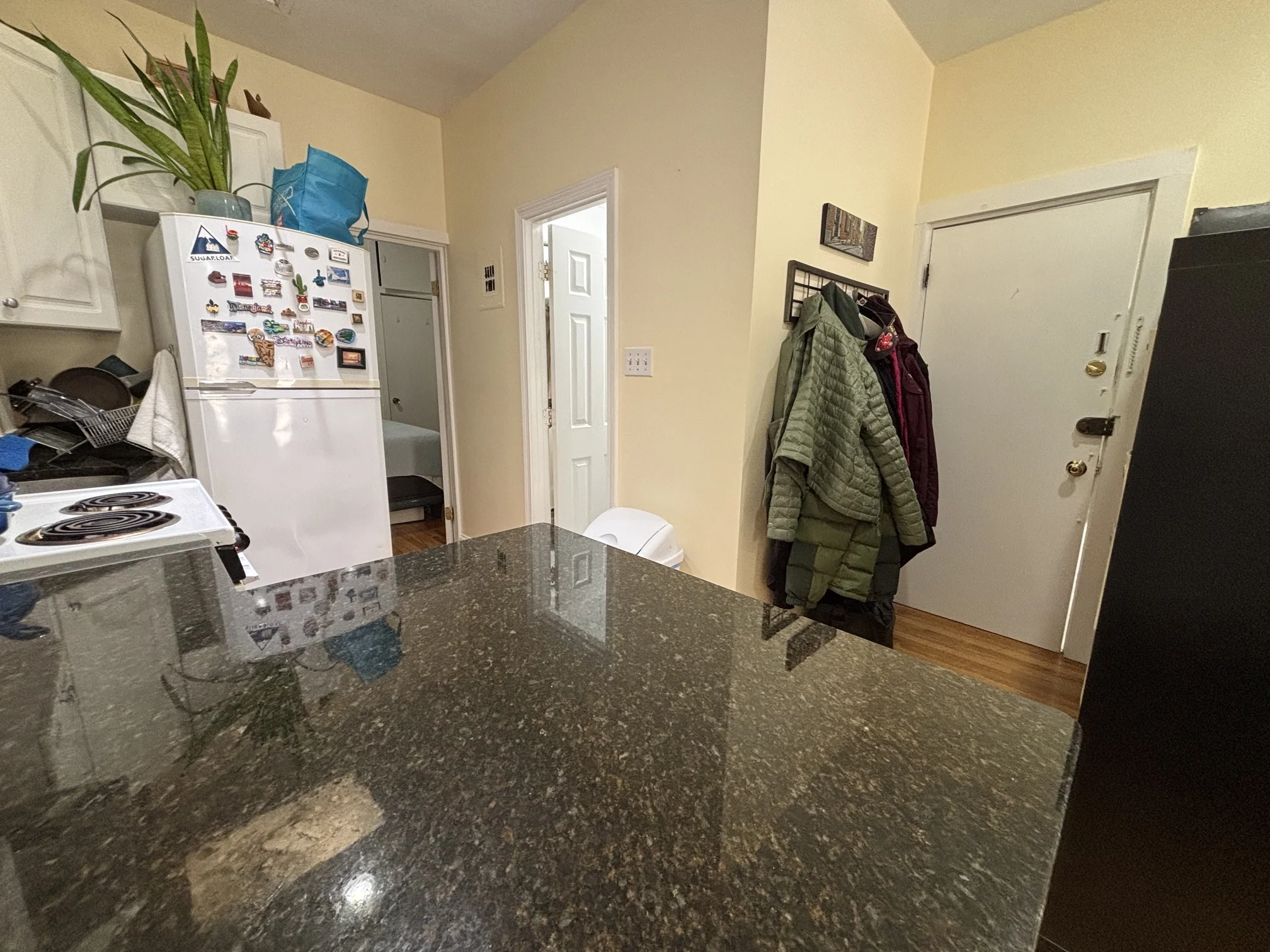 2 bed, 1 bath apartment for rent at 103 Charles St Unit 7, Beacon Hill — photo 6 of 11