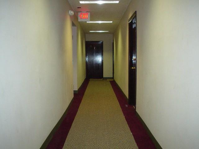 Studio bed, 1 bath apartment for rent at 103 Gordon St Unit 4, Brighton — photo 3 of 5