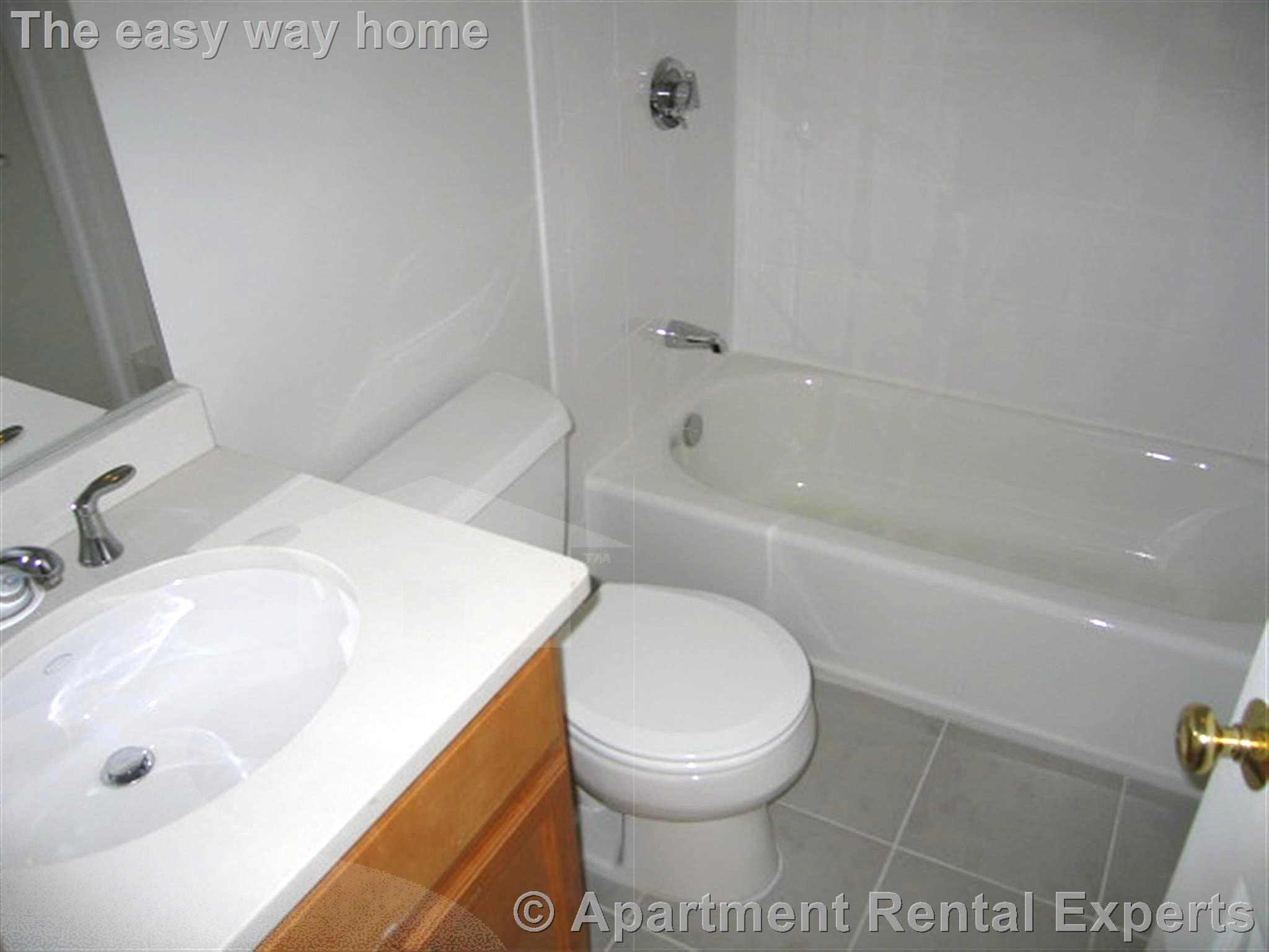 1 bed, 1 bath apartment for rent at 103 Orchard St Unit 5, Davis Square — photo 3 of 6