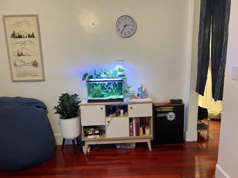 2 bed, 1 bath apartment for rent at 103 Sciarappa St Unit 2, East Cambridge — photo 13 of 27
