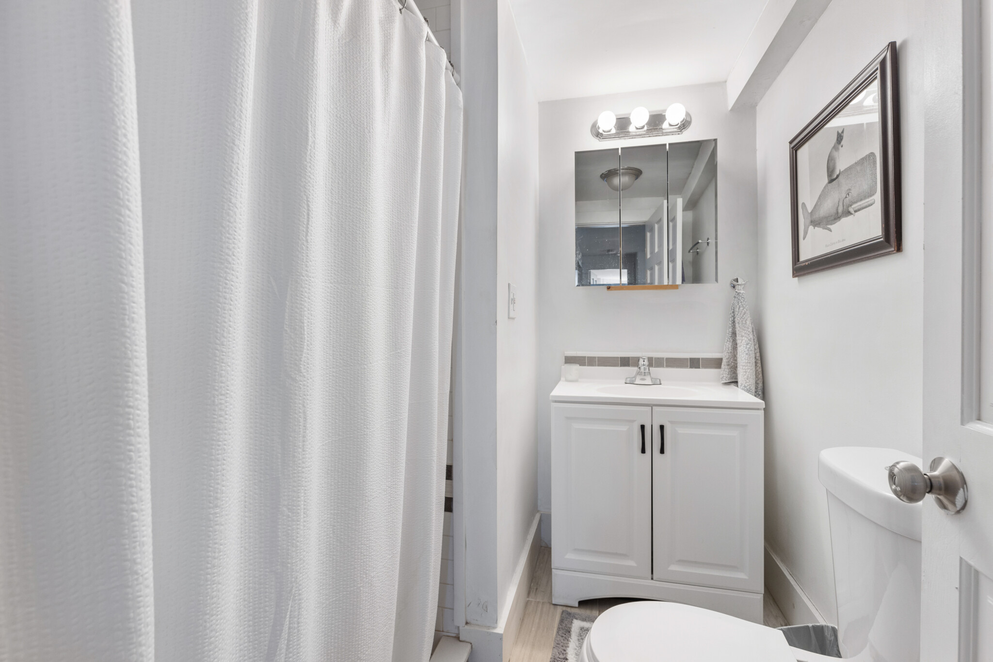 2 bed, 1 bath apartment for rent at 103 Summer St Unit 1B, Spring Hill — photo 7 of 9