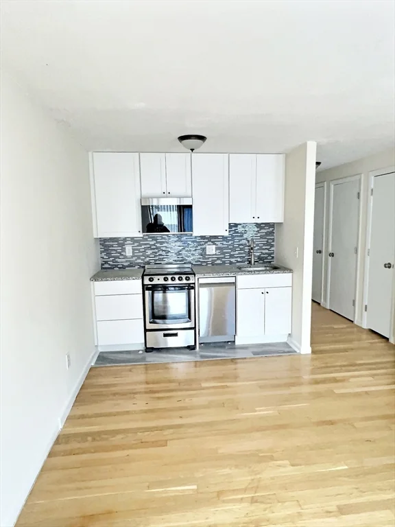 Studio bed, 1 bath apartment for rent at 1039 Commonwealth Ave Unit 34, Allston — photo 2 of 6