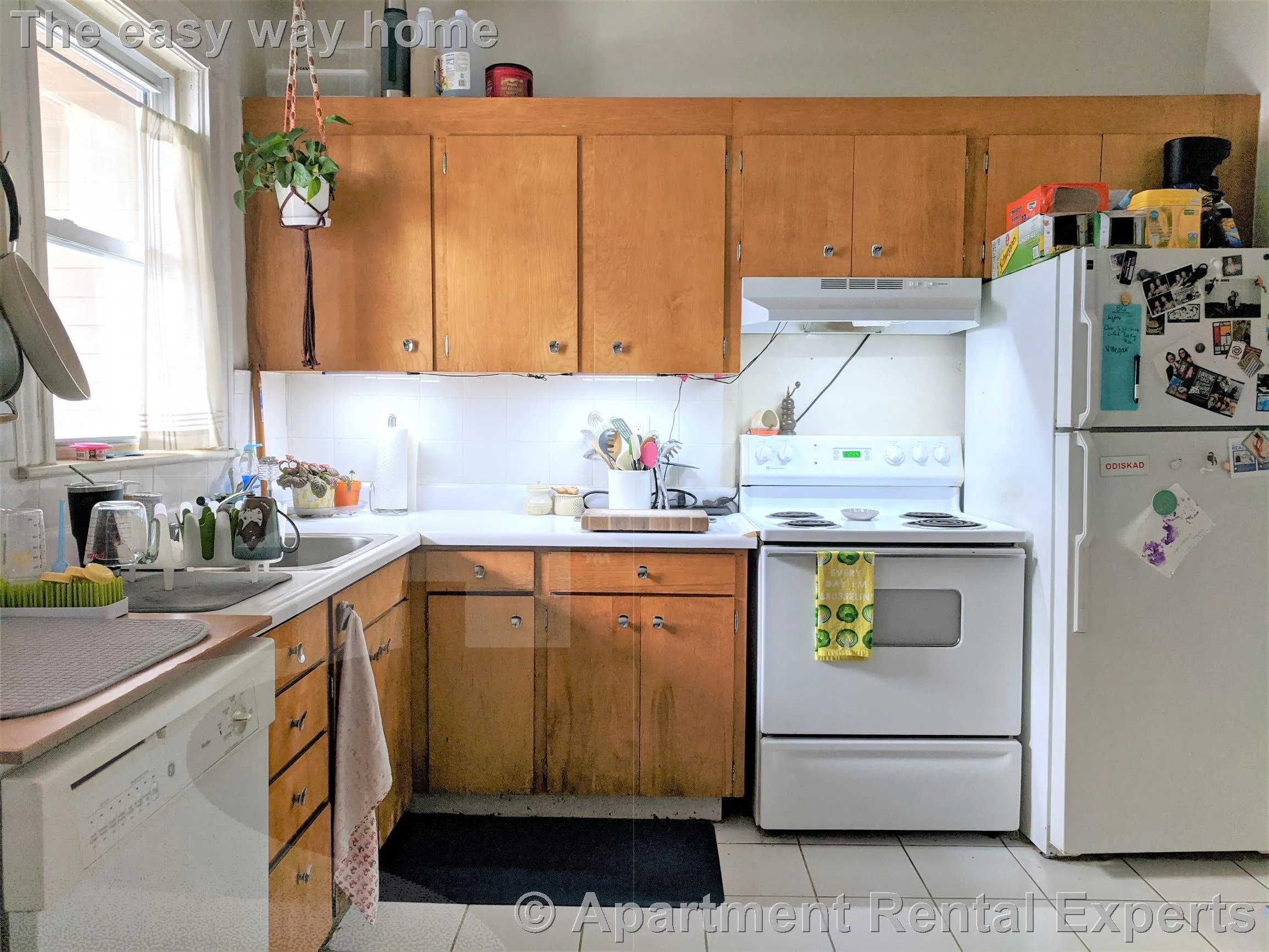 1 bed, 1 bath apartment for rent at 104 Summer Unit 1B, Union Square — photo 2 of 15