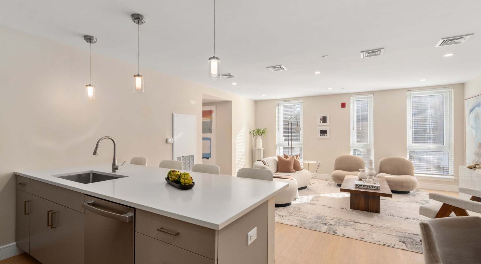 2 bed, 2 bath apartment for rent at 105 Washington St Unit 207, Brighton — photo 11 of 13