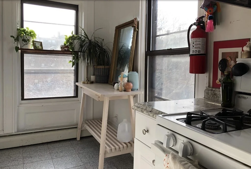 1 bed, 1 bath apartment for rent at 105 West Springfield St Unit 2, South End — photo 11 of 14