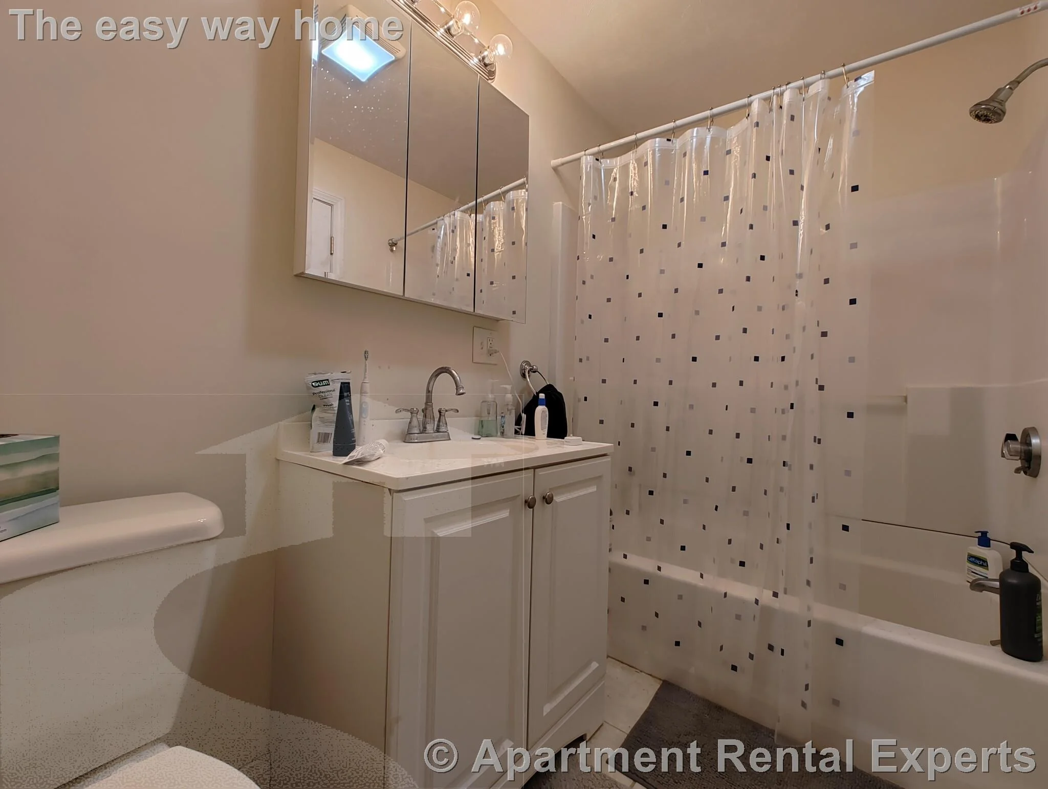 1 bed, 1 bath apartment for rent at 1054 Cambridge St Unit 2R, East Cambridge — photo 5 of 6