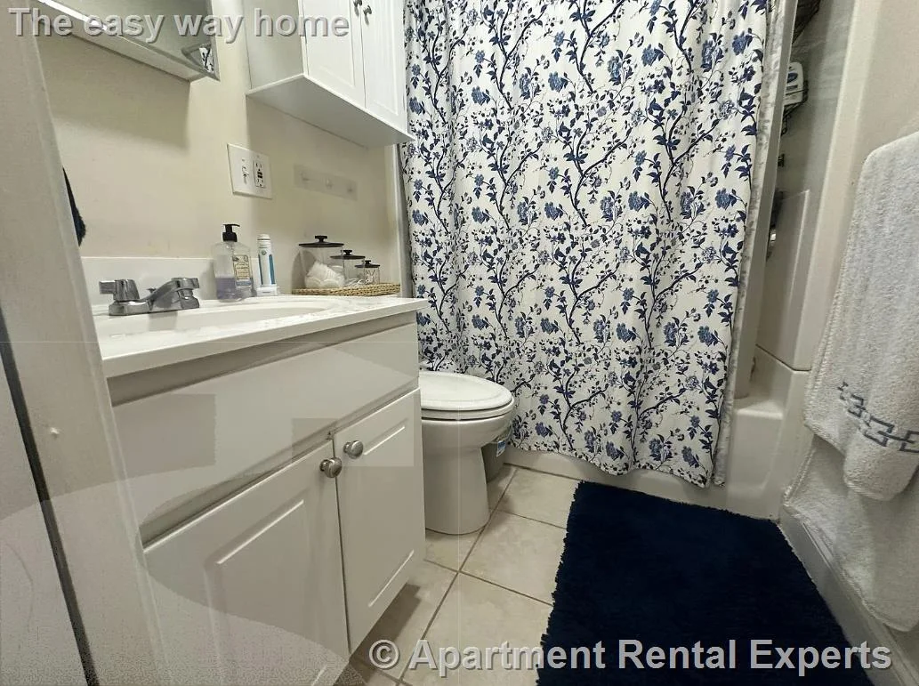 1 bed, 1 bath apartment for rent at 1054 Cambridge St Unit 4F, East Cambridge — photo 11 of 11