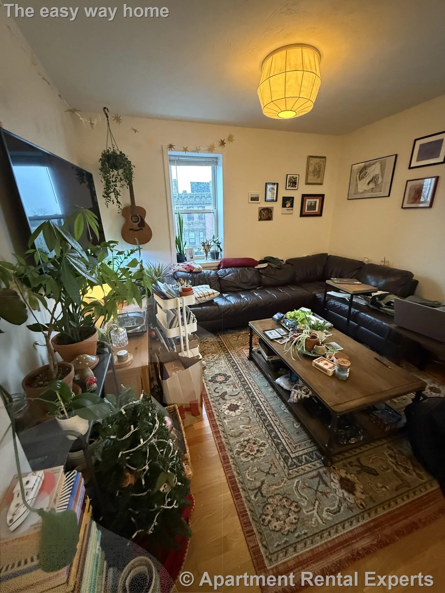1 bed, 1 bath apartment for rent at 1054 Cambridge St Unit 4R, East Cambridge — photo 8 of 10