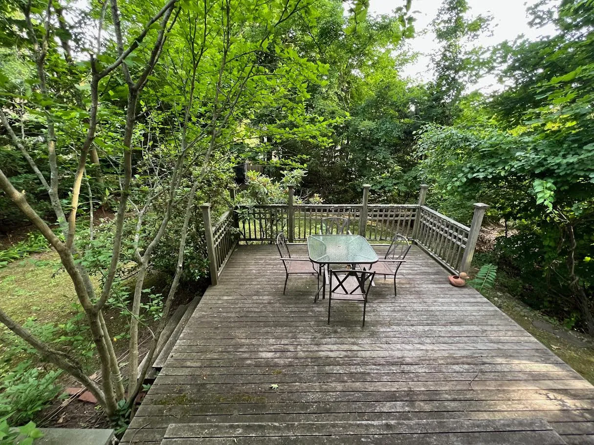 2 bed, 2 bath apartment for rent at 1056 Beacon St Unit 1, Newton Centre — photo 17 of 18