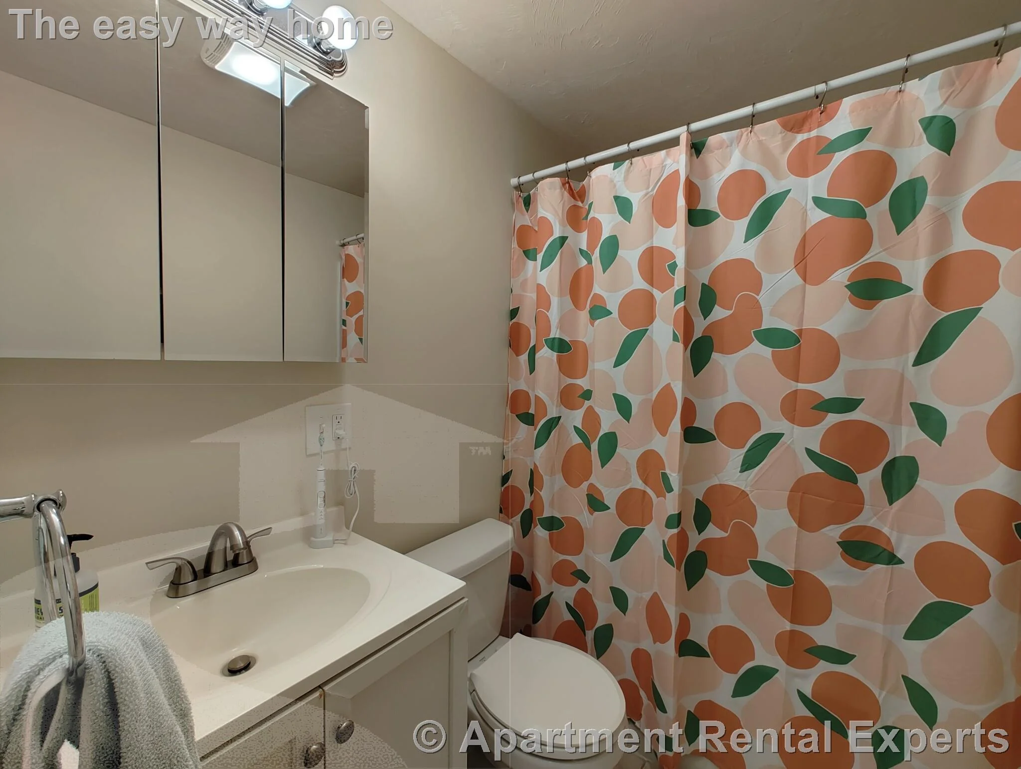 1 bed, 1 bath apartment for rent at 1056 Cambridge St Unit 3F, East Cambridge — photo 5 of 6
