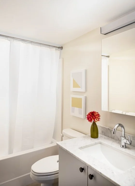 1 bed, 1 bath apartment for rent at 1060 Broadway Unit 208, Davis Square — photo 6 of 11