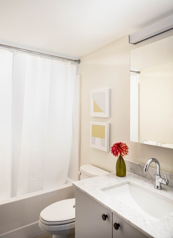 1 bed, 1 bath apartment for rent at 1060 Broadway Unit 214, Teele Square — photo 4 of 9