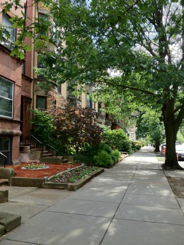 Studio bed, 1 bath apartment for rent at 1061 Beacon St Unit 9, Longwood — photo 5 of 7