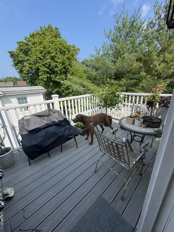 2 bed, 1 bath apartment for rent at 107 Bynner Unit 2, Jamaica Plain — photo 20 of 27