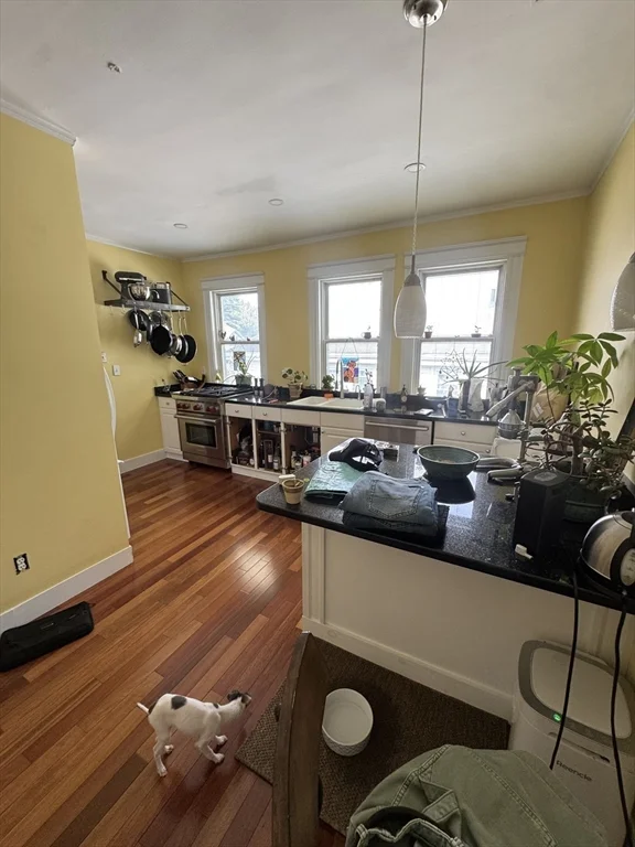 2 bed, 1 bath apartment for rent at 107 Bynner Unit 2, Jamaica Plain — photo 11 of 27
