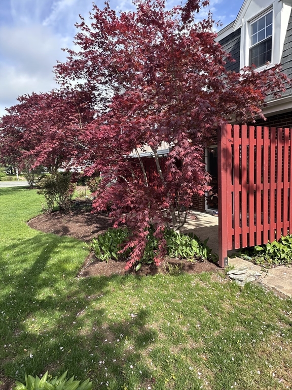 2 bed, 1 bath apartment for rent at 107 Erin Rd Unit 107, Stoughton — photo 13 of 28