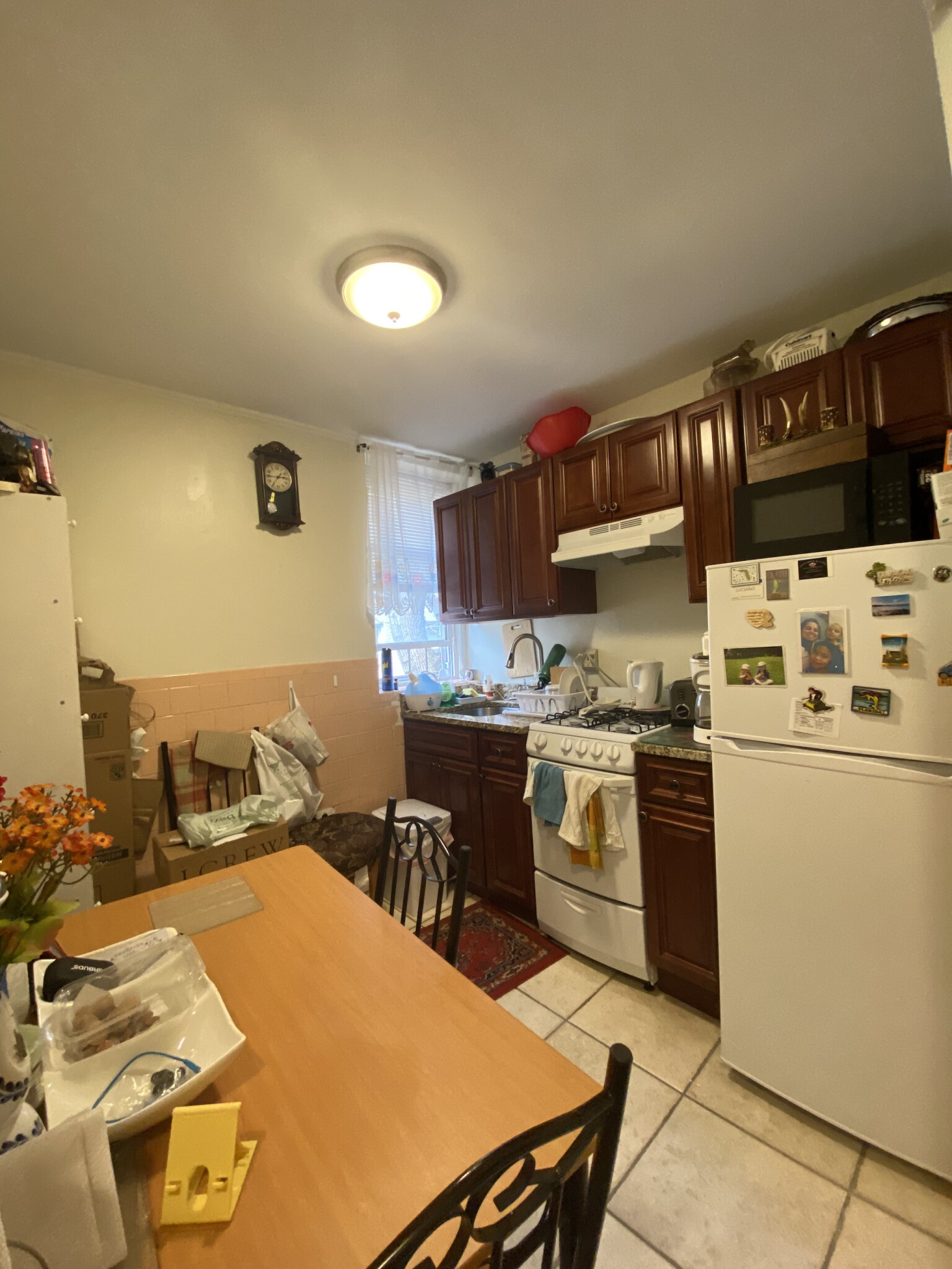 Studio bed, 1 bath apartment for rent at 107 Gordon St Unit 7, Brighton — photo 3 of 8