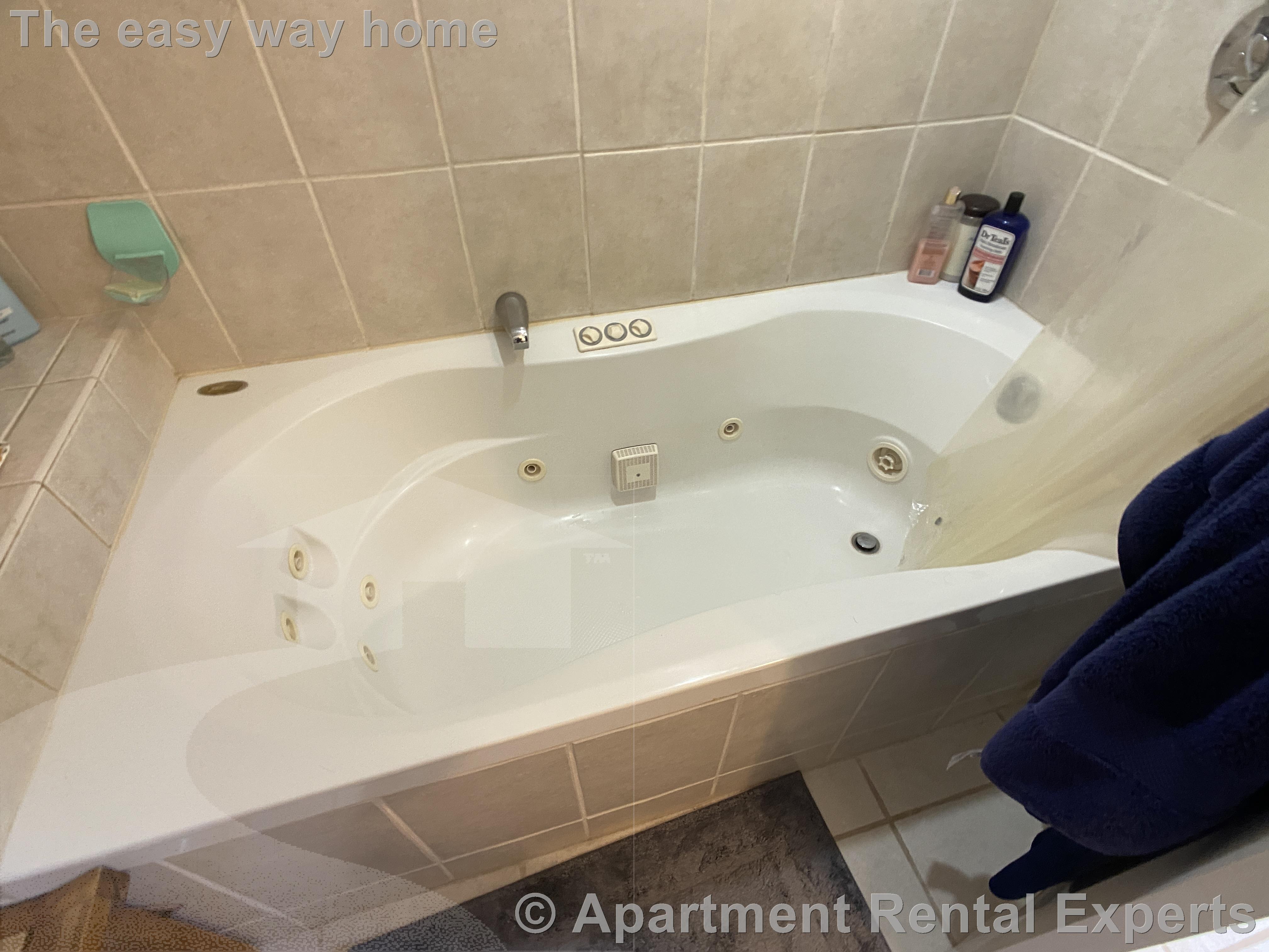 4 bed, 2 bath apartment for rent at 107 Yale St, Tufts — photo 14 of 19