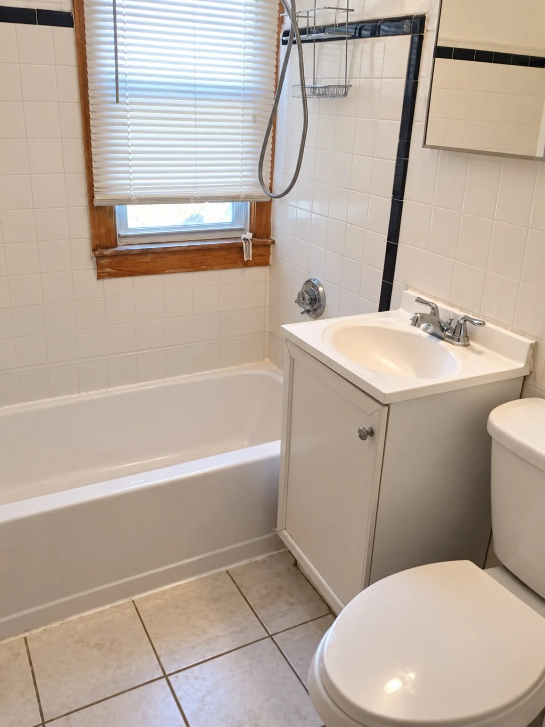 3 bed, 1 bath apartment for rent at 108 Garfield Ave Unit 1, Hyde Park — photo 7 of 12