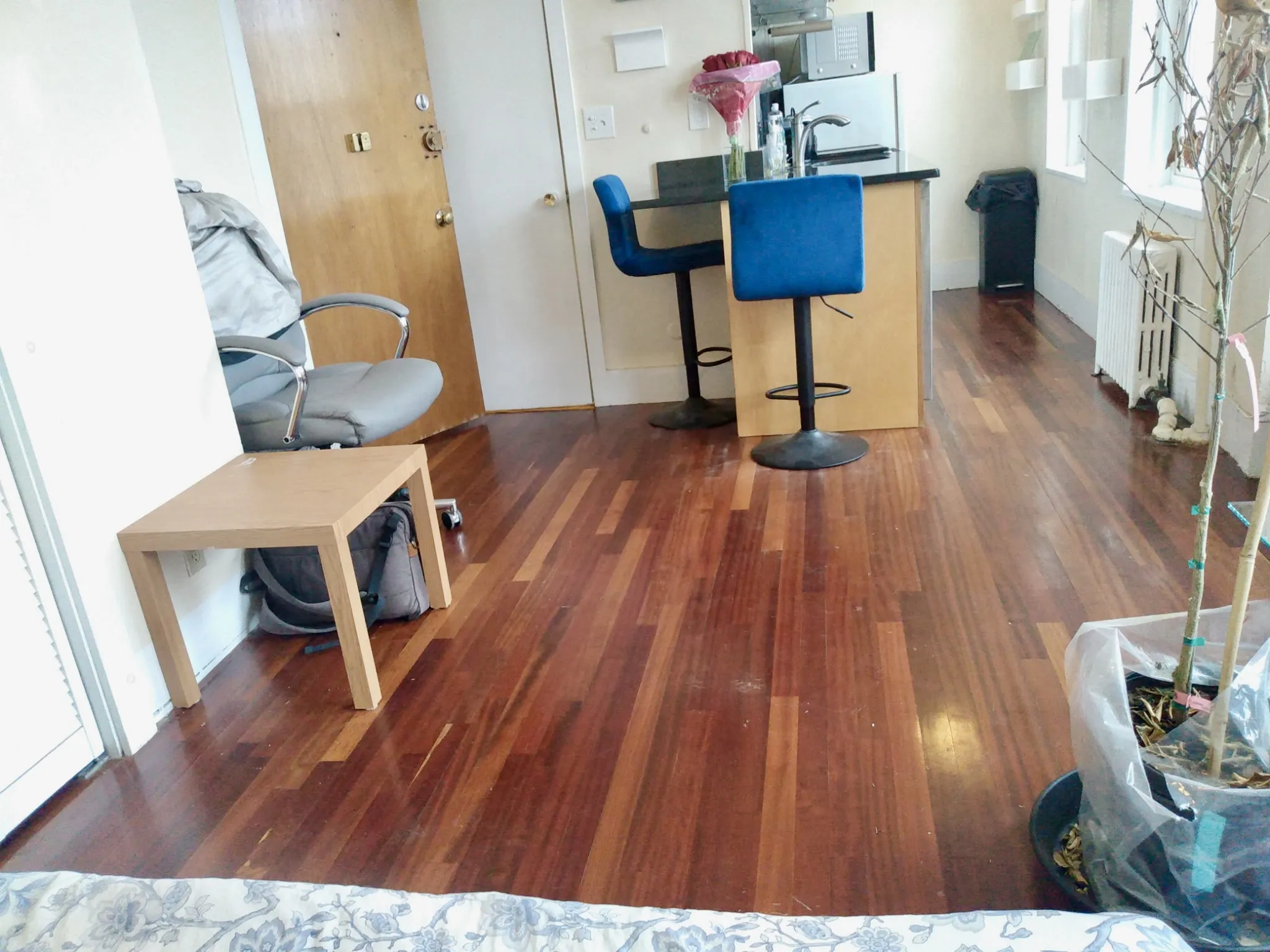 Studio bed, 1 bath apartment for rent at 108 Myrtle St Unit 15, Beacon Hill — photo 7 of 16