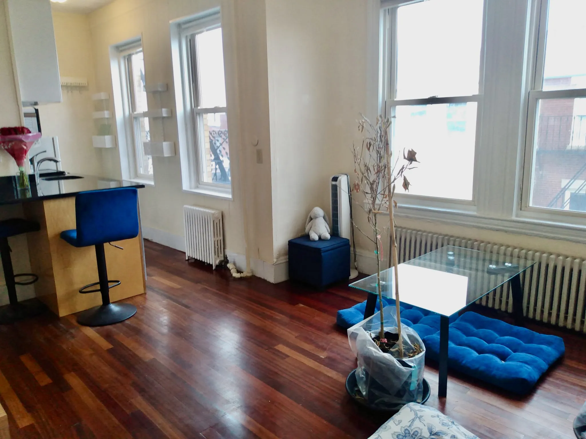 Studio bed, 1 bath apartment for rent at 108 Myrtle St Unit 15, Beacon Hill — photo 13 of 16
