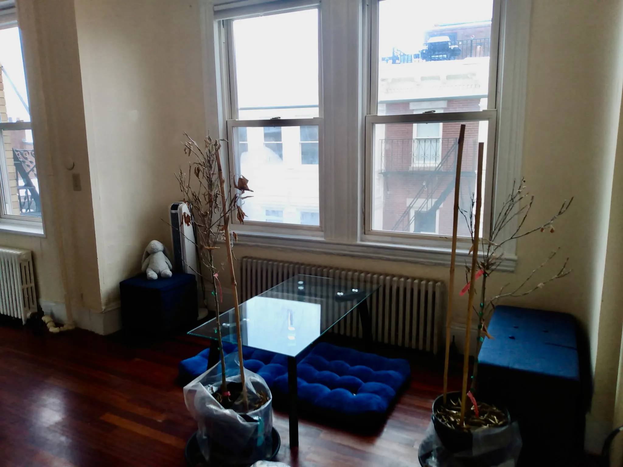 Studio bed, 1 bath apartment for rent at 108 Myrtle St Unit 15, Beacon Hill — photo 5 of 16