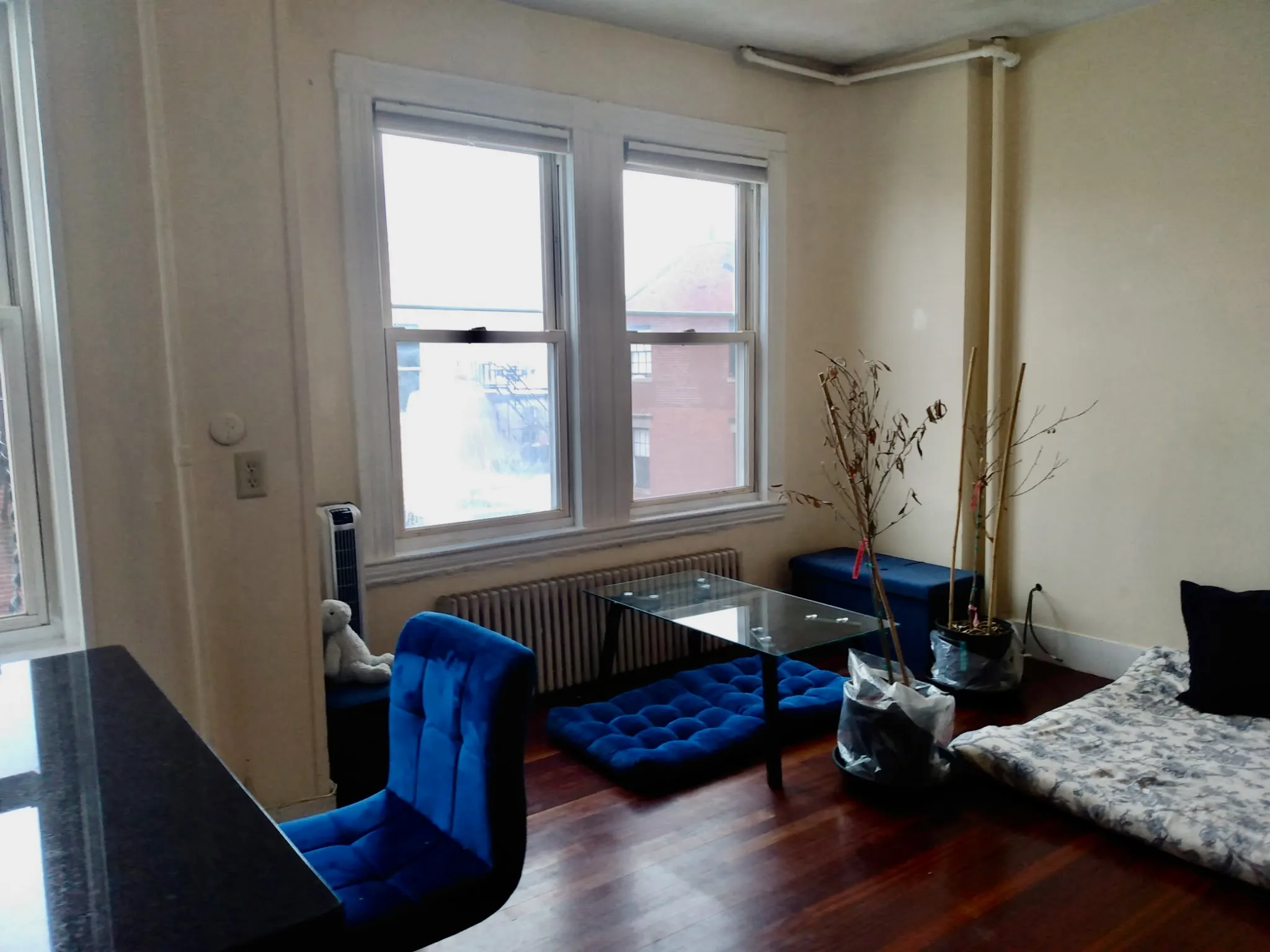 Studio bed, 1 bath apartment for rent at 108 Myrtle St Unit 15, Beacon Hill — photo 11 of 16