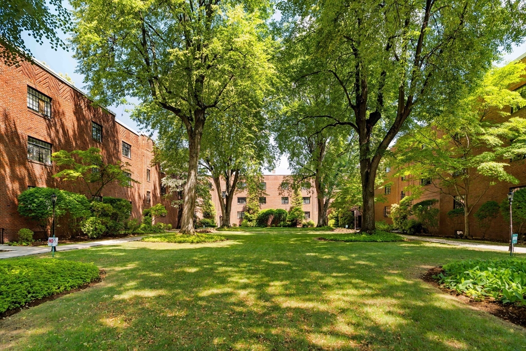2 bed, 1 bath apartment for rent at 108 Sewall Ave Unit 6, Coolidge Corner — photo 1 of 18