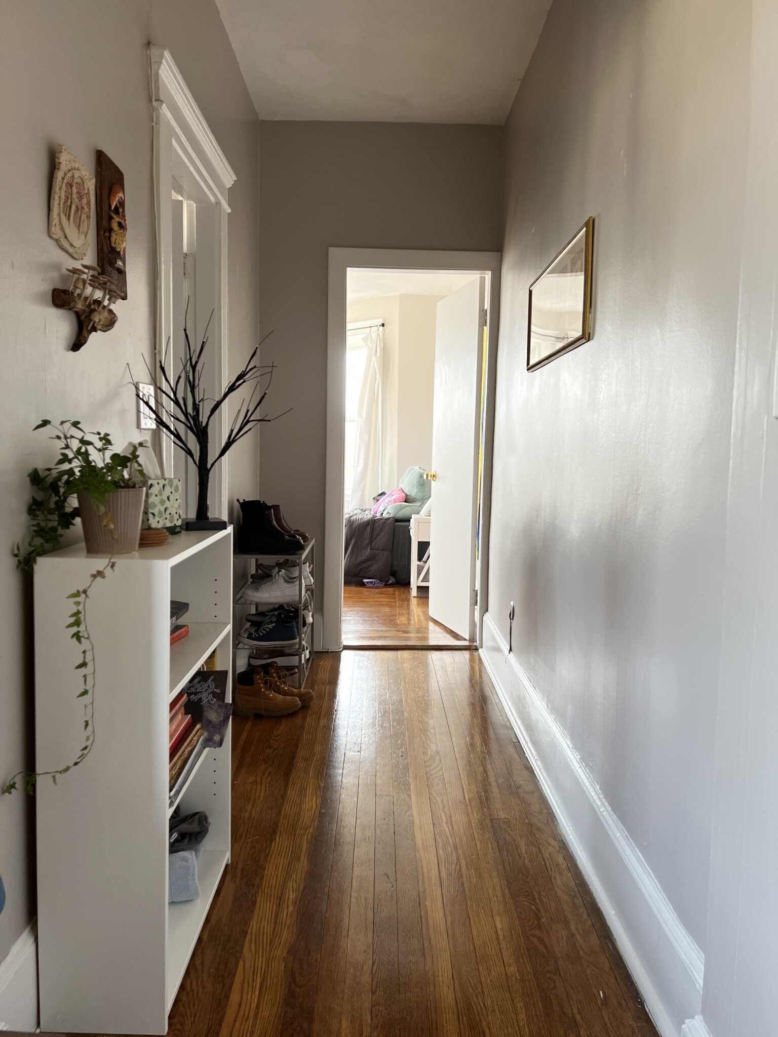 1 bed, 1 bath apartment for rent at 1082 Commonwealth Ave Unit 402, Brighton — photo 5 of 7