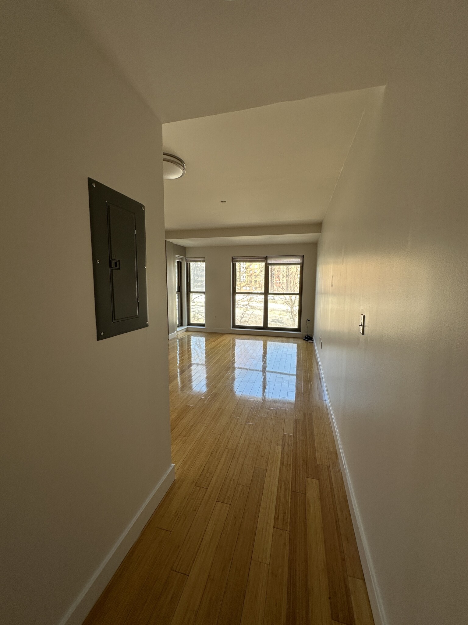 1 bed, 1 bath apartment for rent at 1085 Boylston St Unit 5A, Fenway — photo 9 of 20