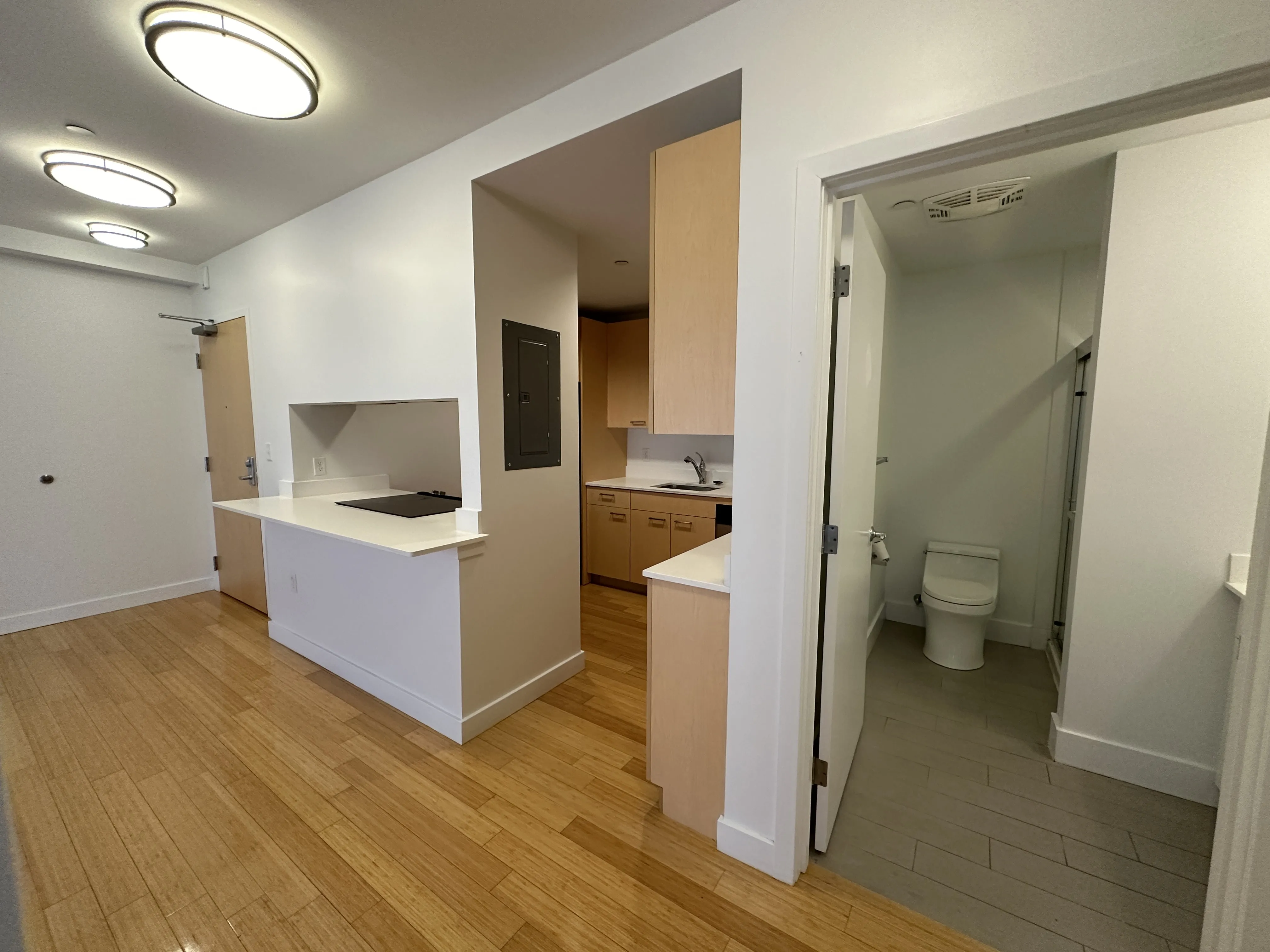 1 bed, 1 bath apartment for rent at 1085 Boylston St Unit Ph03, Fenway — photo 21 of 28