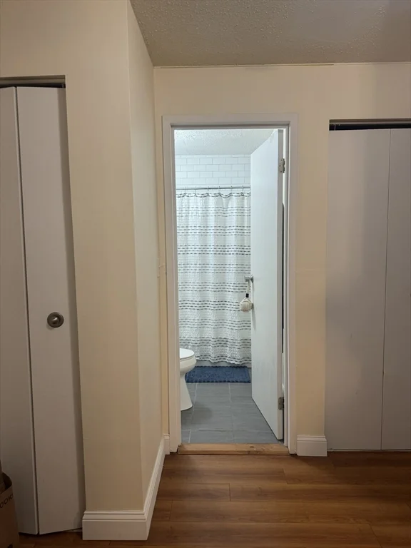 1 bed, 1 bath apartment for rent at 109–111 Tremont St Unit 311, Brighton — photo 8 of 12