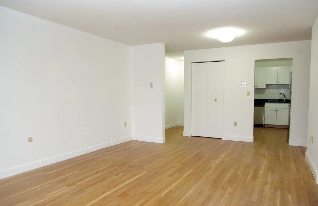 1 bed, 1 bath apartment for rent at 109-111 Tremont St Unit 511, Brighton — photo 4 of 10