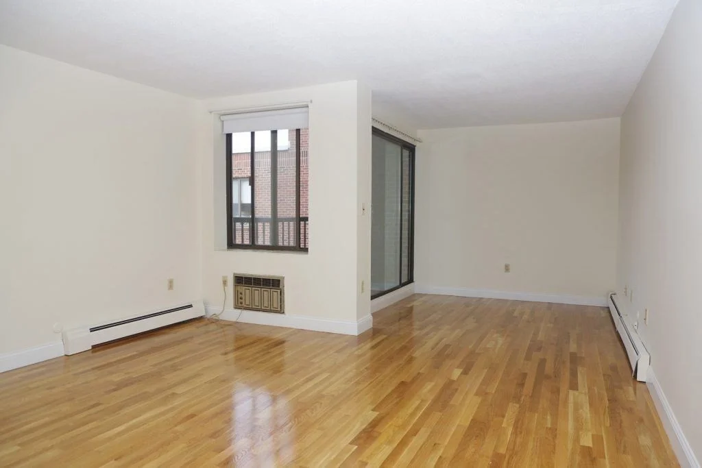 1 bed, 1 bath apartment for rent at 109-111 Tremont St Unit 511, Brighton — photo 2 of 10