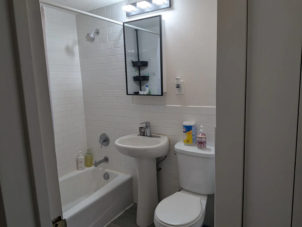 1 bed, 1 bath apartment for rent at 109-111 Tremont St Unit 602, Brighton — photo 5 of 8