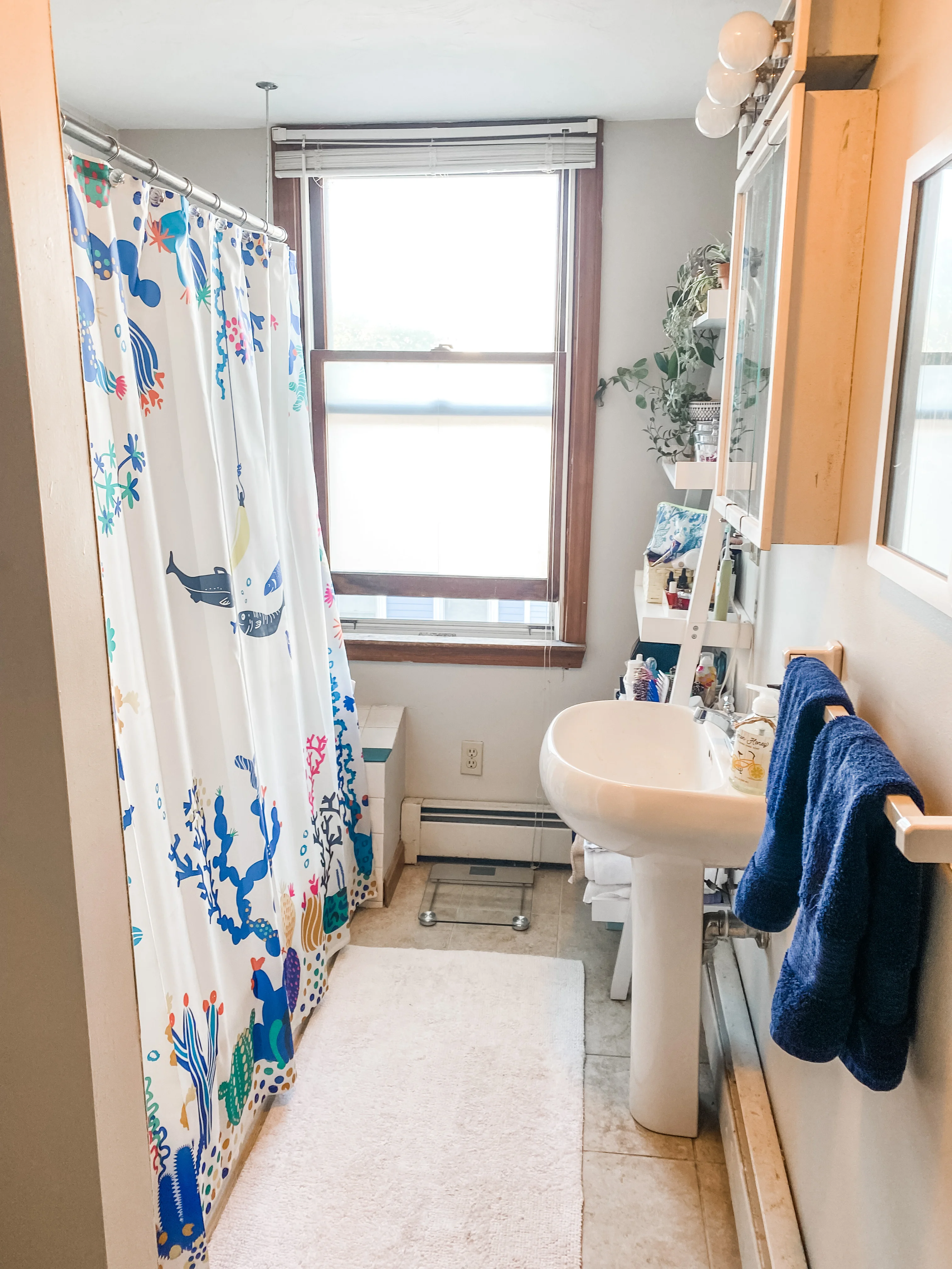 1 bed, 1 bath apartment for rent at 109 Bartlett St Unit 3, Charlestown — photo 20 of 20