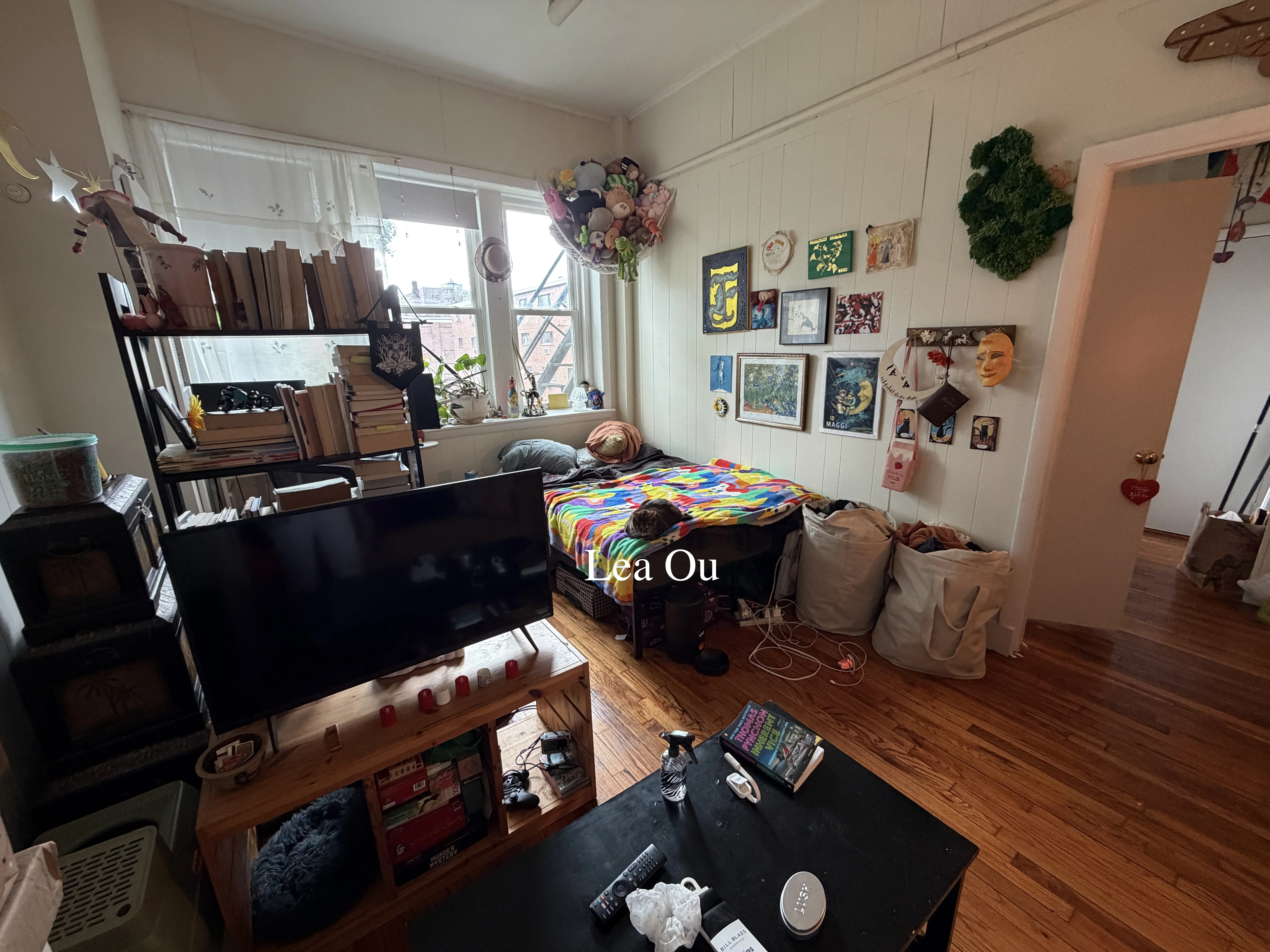 Studio bed, 1 bath apartment for rent at 109 Brainerd Rd Unit 20, Brighton — photo 2 of 10