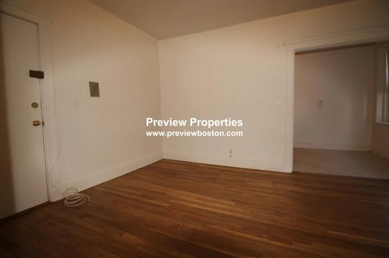 2 bed, 1 bath apartment for rent at 109 Brainerd Rd Unit 2P, Allston — photo 3 of 16