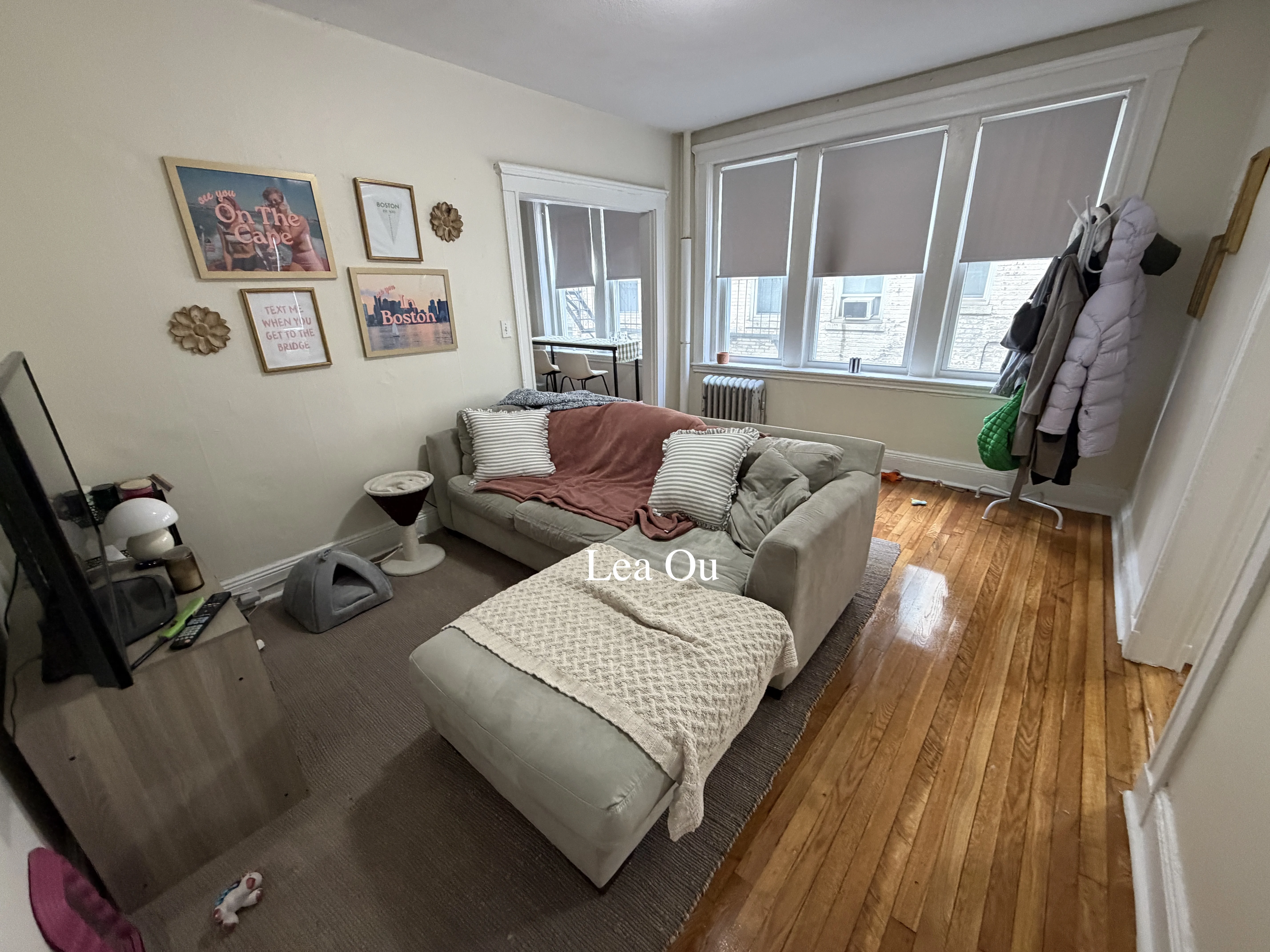 2 bed, 1 bath apartment for rent at 109 Brainerd Rd Unit 3, Brighton — photo 1 of 11