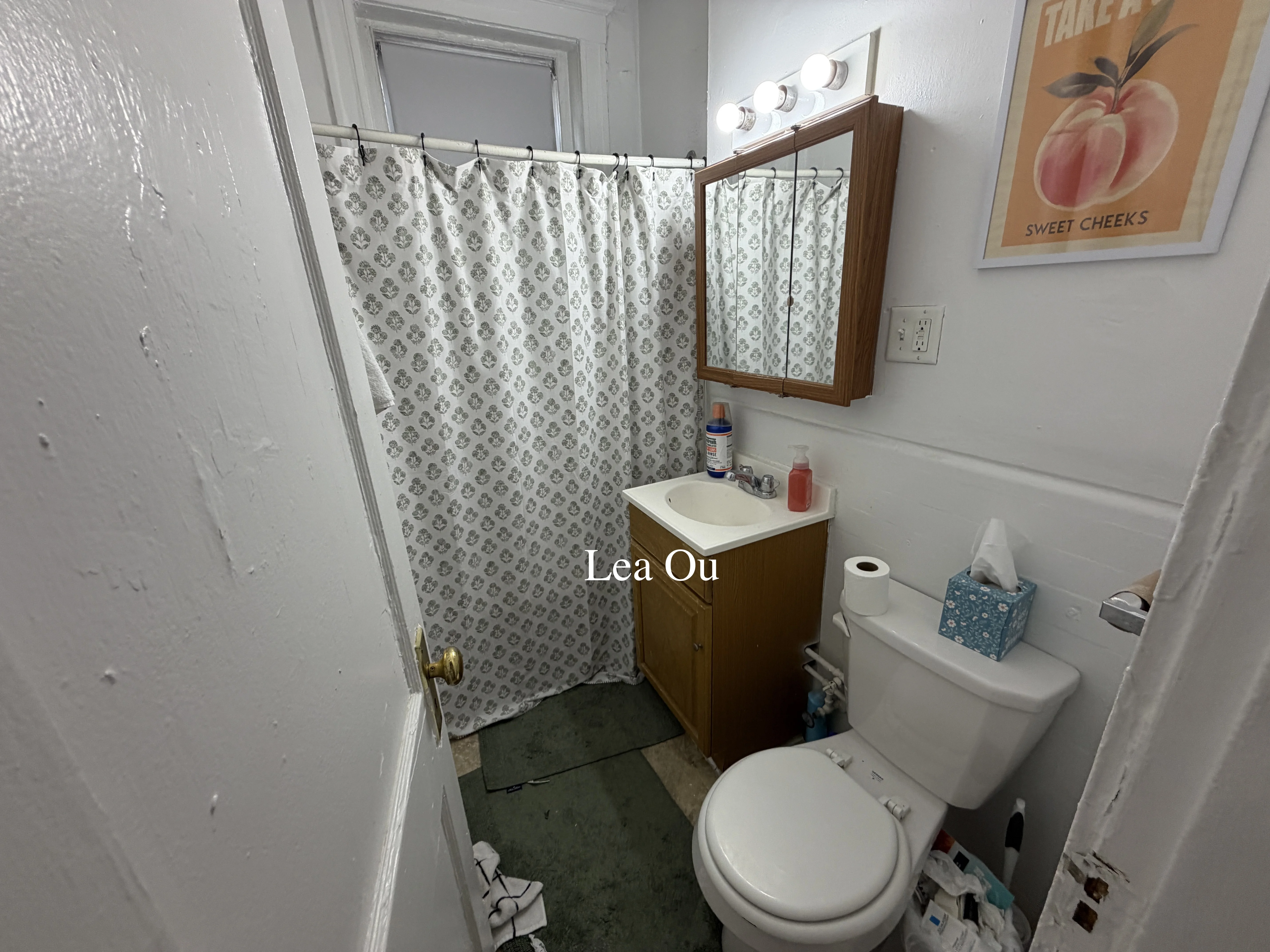 2 bed, 1 bath apartment for rent at 109 Brainerd Rd Unit 3, Brighton — photo 4 of 11