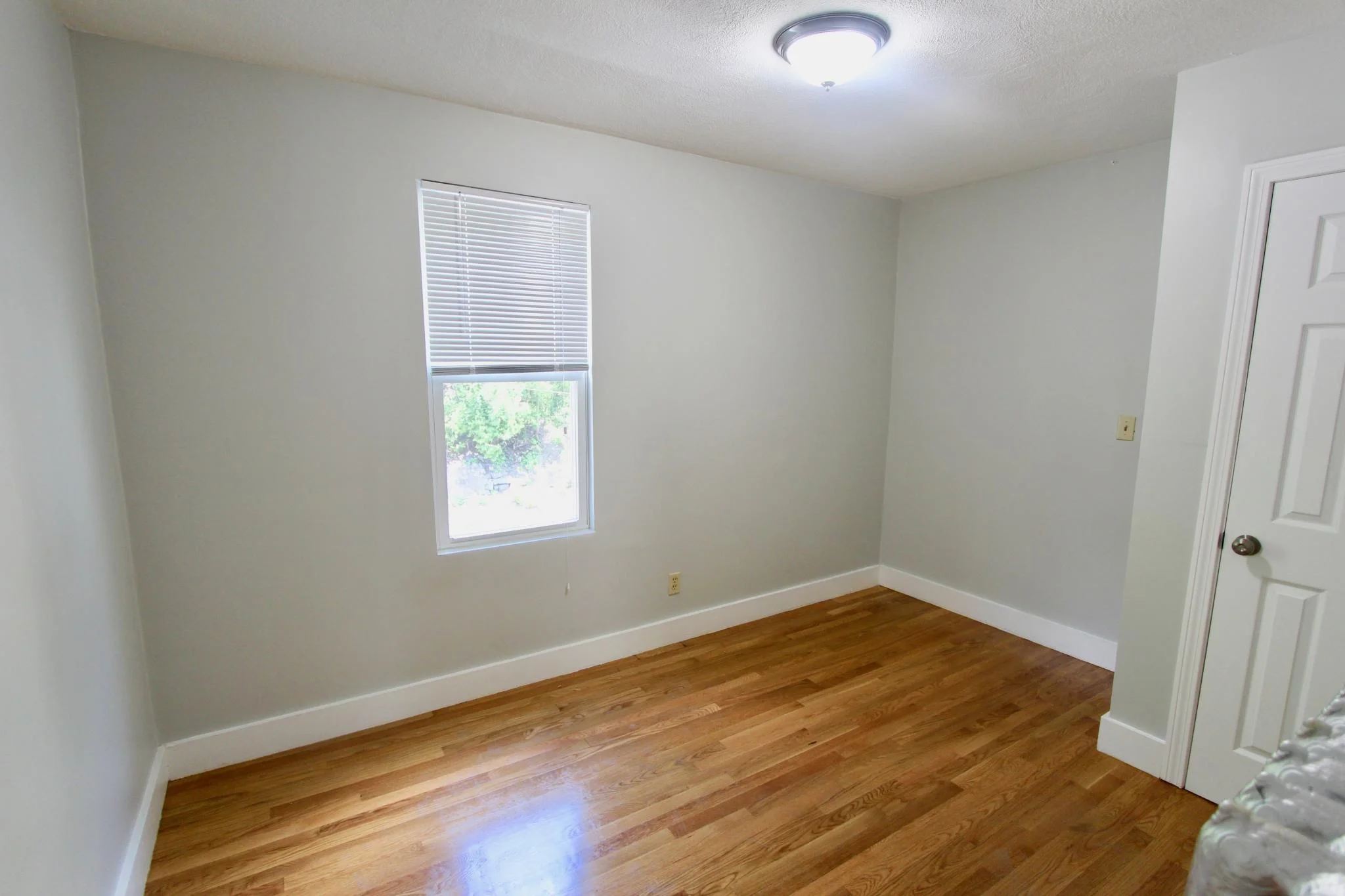 4 bed, 2 bath apartment for rent at 109 Pleasant St Unit 1, Dorchester — photo 4 of 11