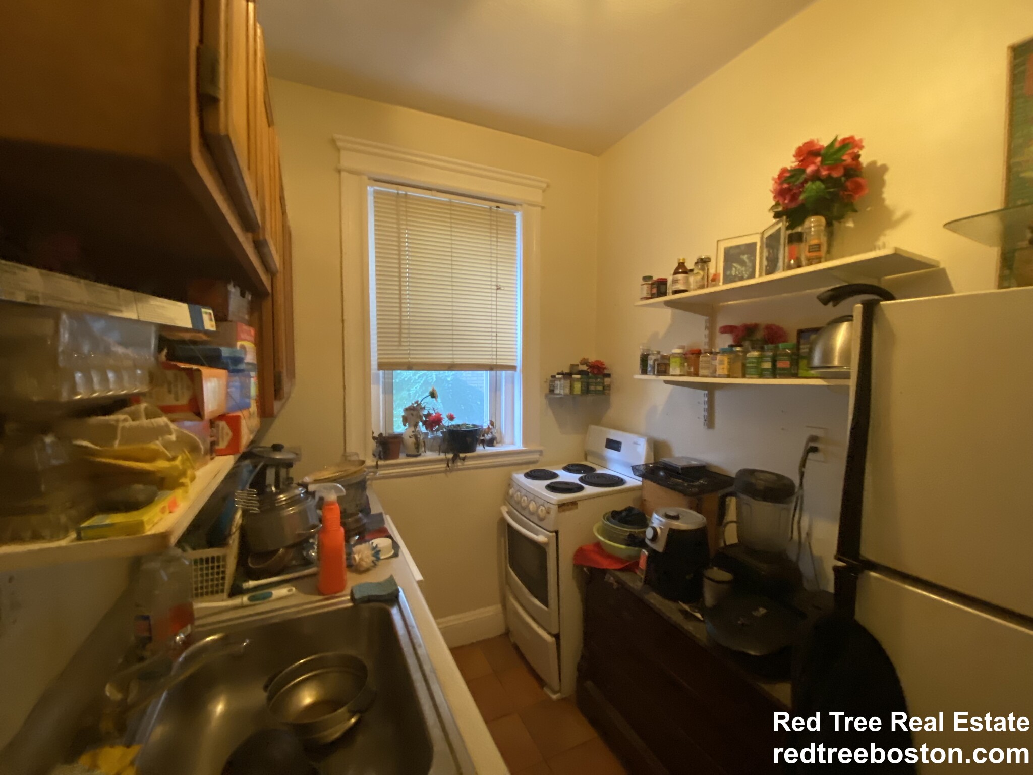 Studio bed, 1 bath apartment for rent at 109 Strathmore Rd Unit 11, Brighton — photo 13 of 16