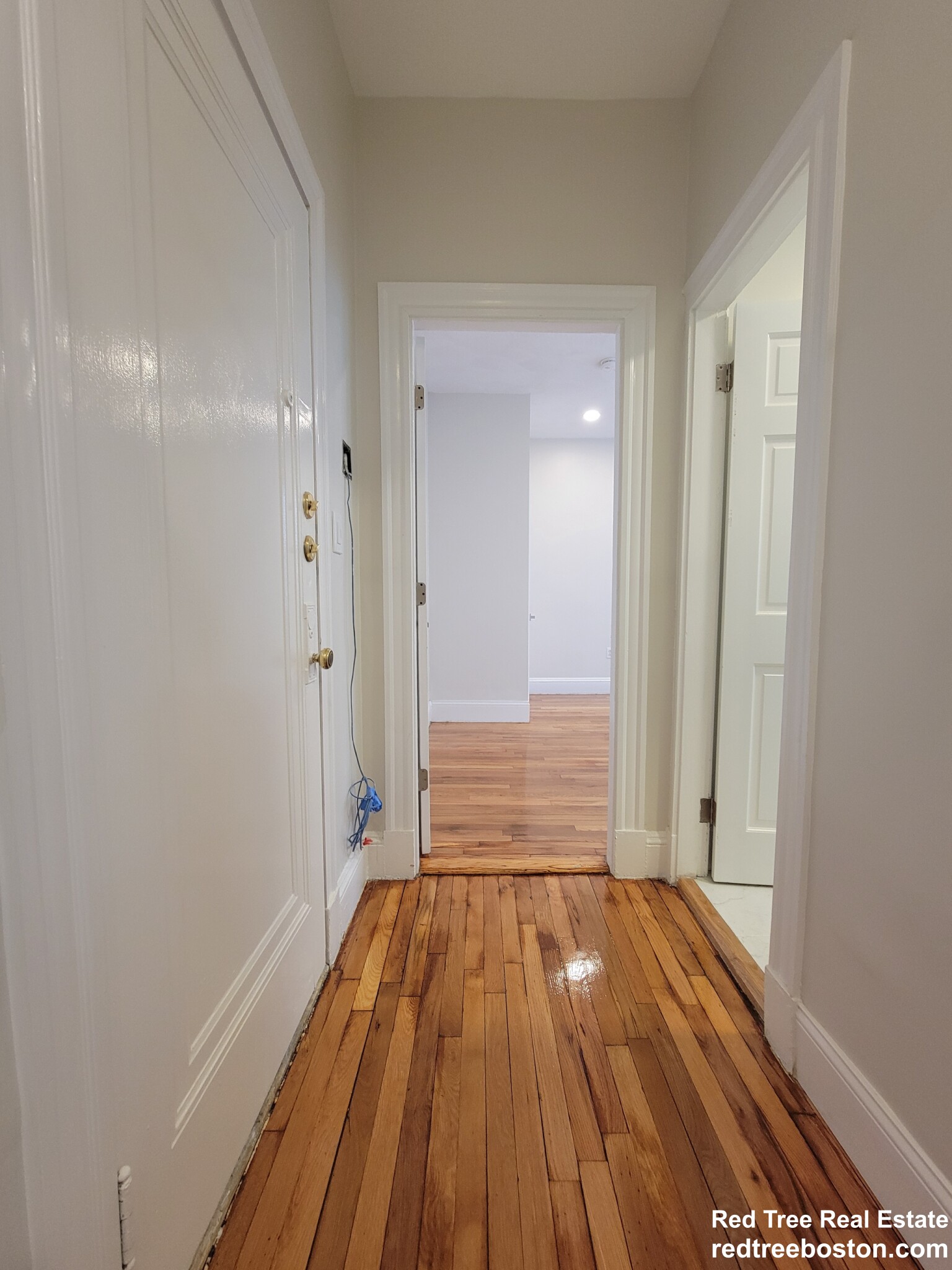 Studio bed, 1 bath apartment for rent at 109 Strathmore Rd Unit 11, Brighton — photo 8 of 16